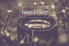Fotograf Viborg