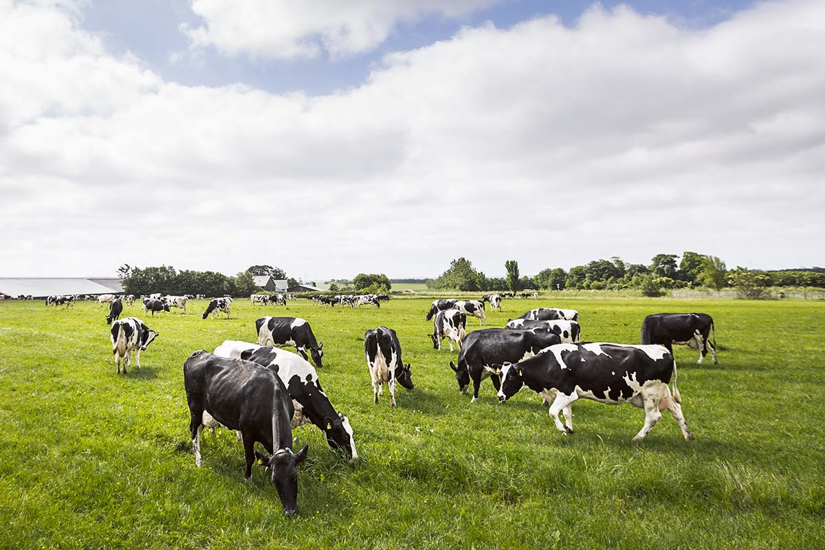 Produktfoto · Industri · Reportage · Erhvervsportræt · Reklame